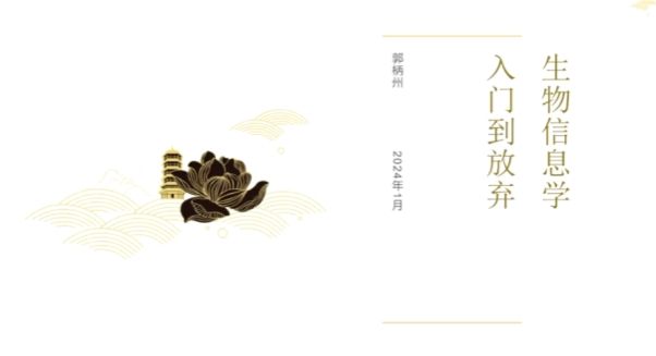 ylzz总站线路检测
