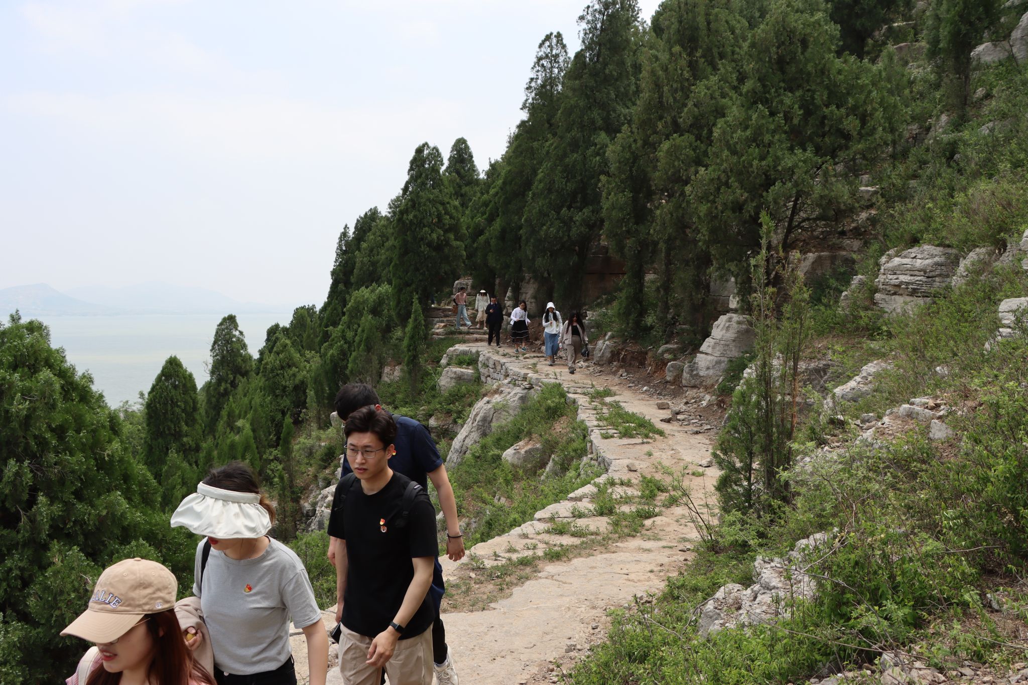 ylzz总站线路检测
