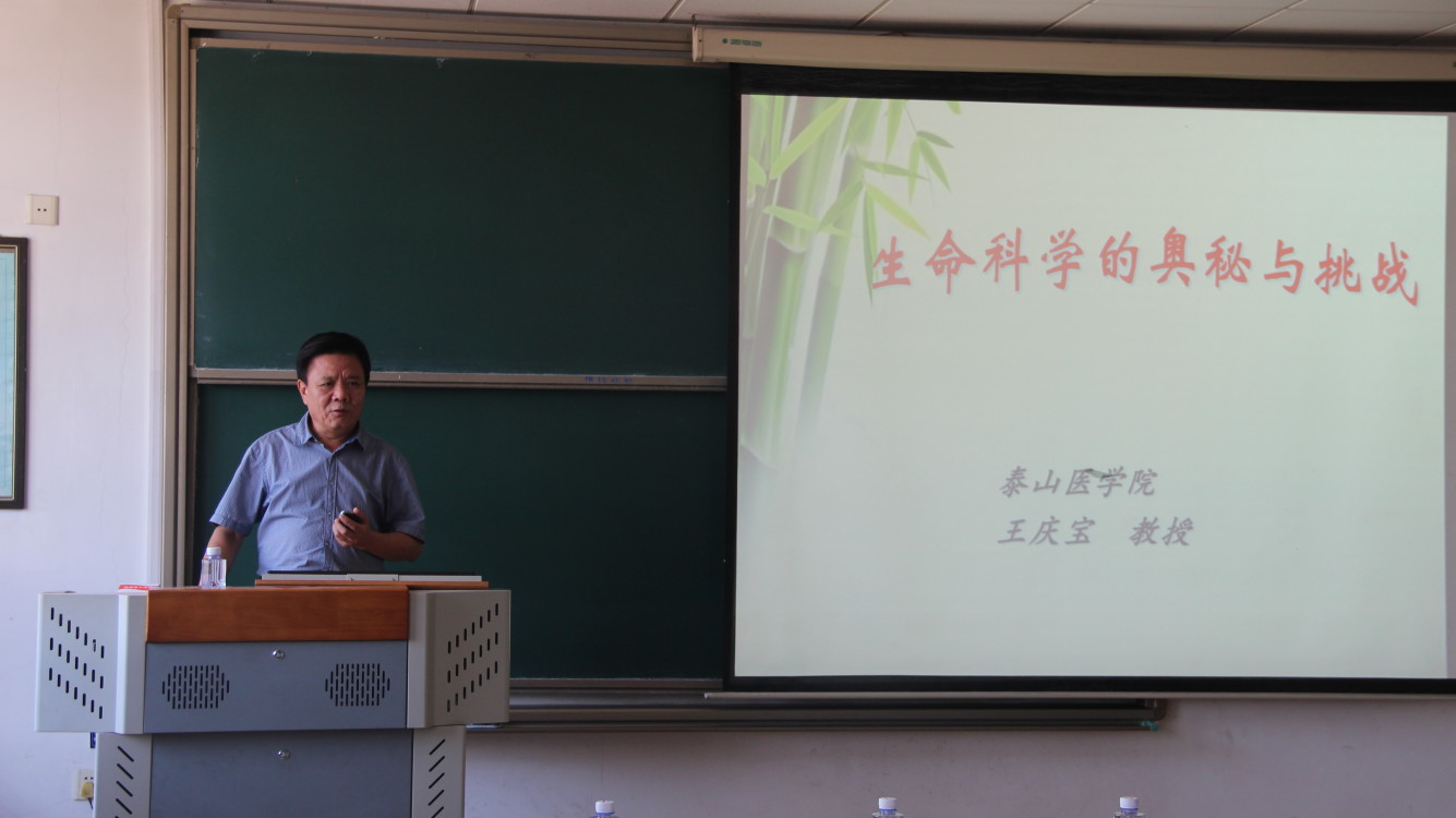 ylzz总站线路检测